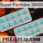 Super Panthère 35000 29